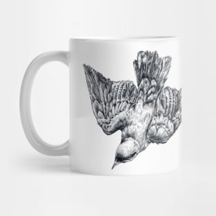 Splendid Starling Mug